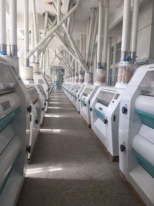 山東清華面粉機(jī)械設(shè)備調(diào)劑中心