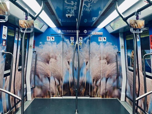 蘇州文青必去打卡 國(guó)內(nèi)首條全場(chǎng)景文化旅游特色線路蘇州軌交5號(hào)線開通